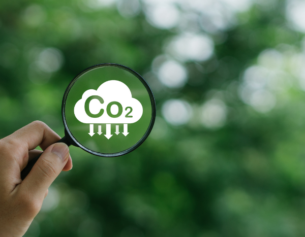 Carbon market scheme money not reaching small farmers, reveals new study