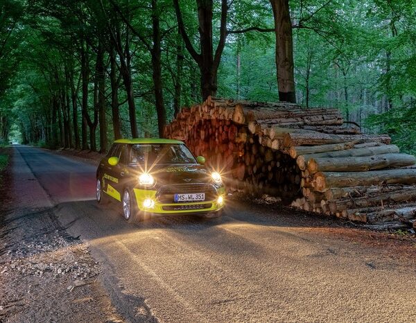 1.7 lakh hectares of forest area diverted for non-forestry purpose in 9 yrs