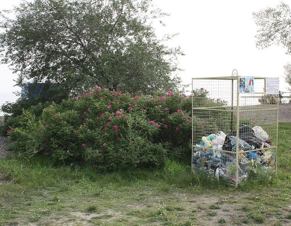 Microplastics in air enter plant leaves, pass to animals & humans: Study