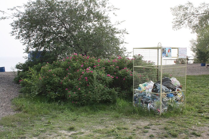 Microplastics in air enter plant leaves, pass to animals & humans: Study