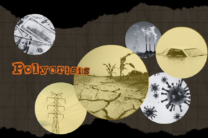 polycrisis India