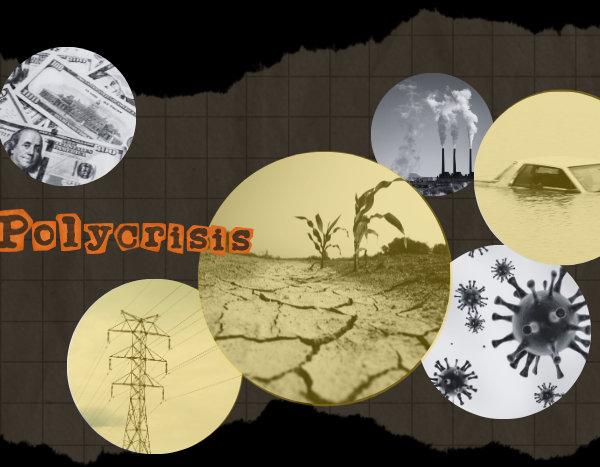 polycrisis India