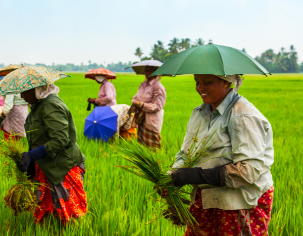 Can community managed natural farming be a solution to multiple development challenges?