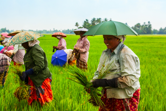 Can community managed natural farming be a solution to multiple development challenges?