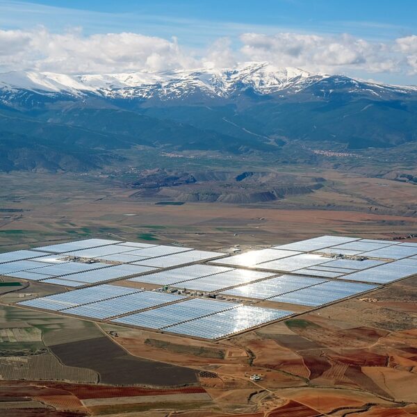 India adds 25 GW, ‘best-ever’ solar capacity in 2024