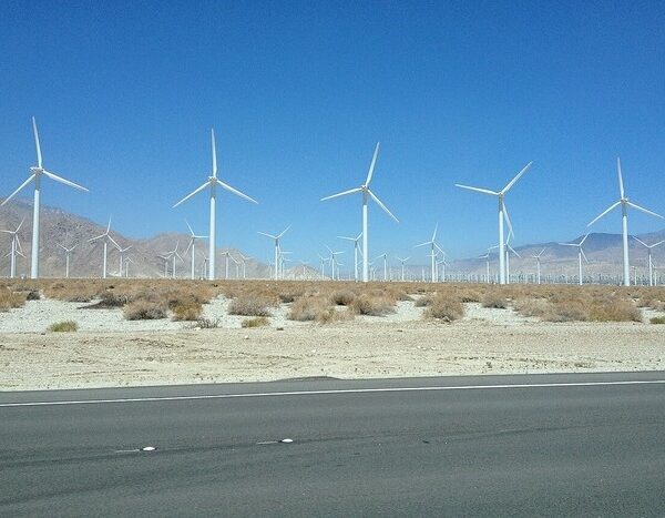 ‘Massive increase’: World adds record levels of new renewables capacity in 2024