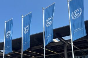 Article 9.1 at Bonn: The Push for a Standalone Agenda