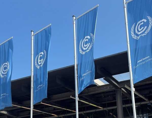 Article 9.1 at Bonn: The Push for a Standalone Agenda