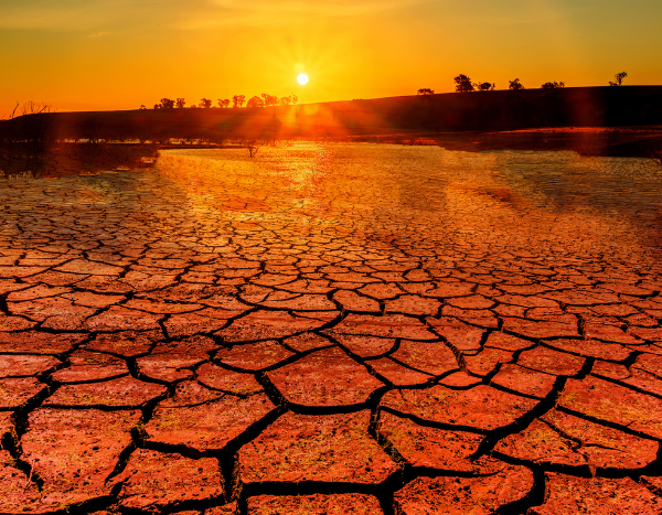 Minimal progress made in 2024, world is set at 2.7°C warming course: New study 