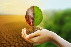 Act now or it’s too late: IPCC ‘synthesis report’ gives final warning on climate crisis