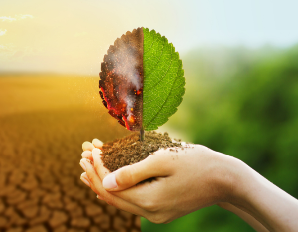 Act now or it’s too late: IPCC ‘synthesis report’ gives final warning on climate crisis