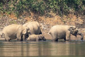 Temperatures soar to 42-45°C, heatwave alerts for many parts of India