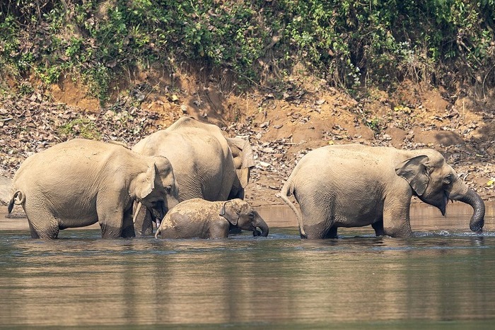 Temperatures soar to 42-45°C, heatwave alerts for many parts of India