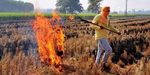 Despite subsidy, machines to tackle crop residue remain unaffordable for Punjab farmers