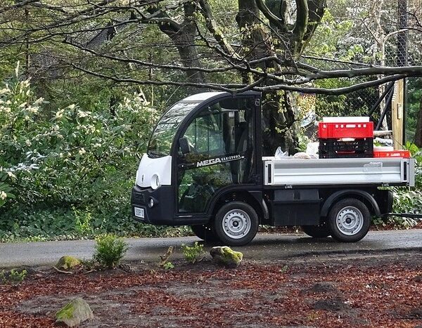 China’s March auto sales hit near-decade record high as price cuts cool