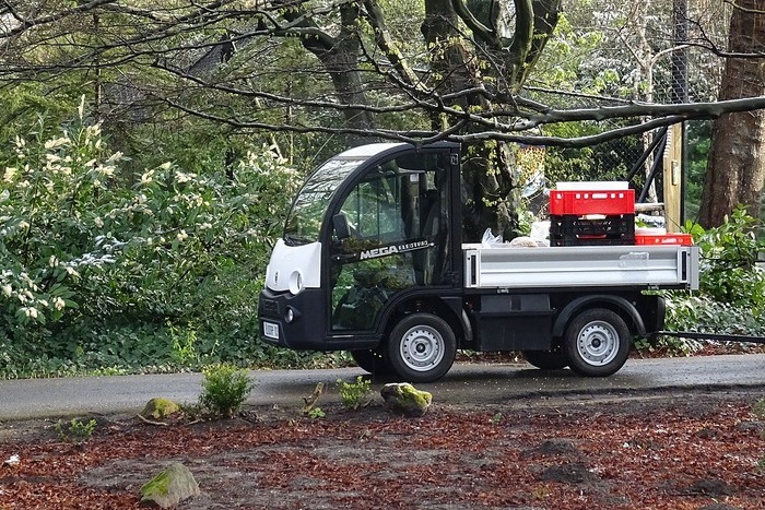 China’s March auto sales hit near-decade record high as price cuts cool