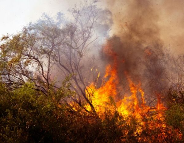 Top 10 climate disasters in 2025 cost a combined $122 billion in damages