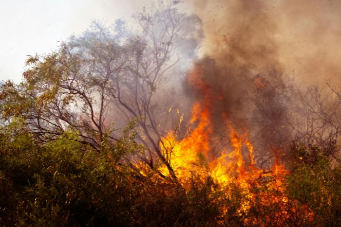 Top 10 climate disasters in 2025 cost a combined $122 billion in damages