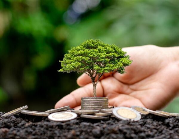 India’s climate finance revolution: how financial institutions can transform with the new taxonomy