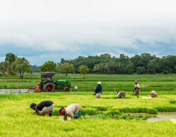 Helping Farmers Adapt to Climate Costs Less Than Farm Subsidies: Report