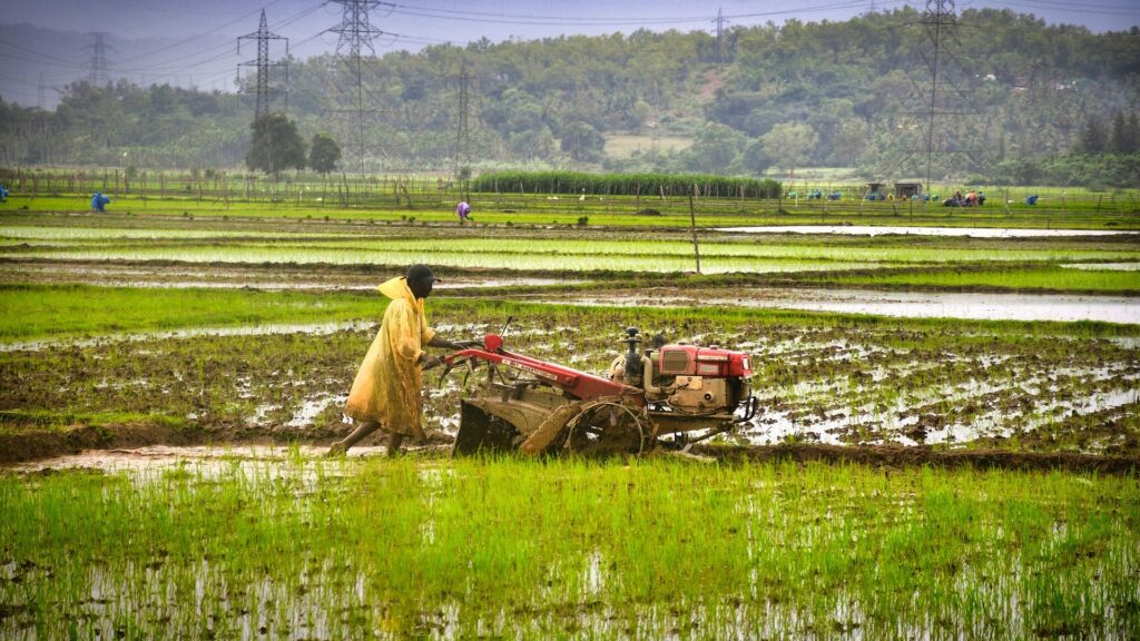 India opens farm imports in ‘calibrated manner’ under India-US trade deal