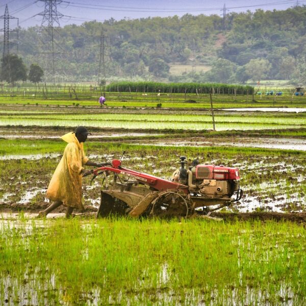 India opens farm imports in ‘calibrated manner’ under India-US trade deal