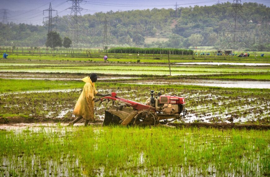 India opens farm imports in ‘calibrated manner’ under India-US trade deal