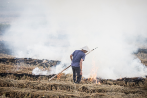 Budget for National Clean Air Programme raised to ₹756 cr, ‘No plan to tackle crop residue’