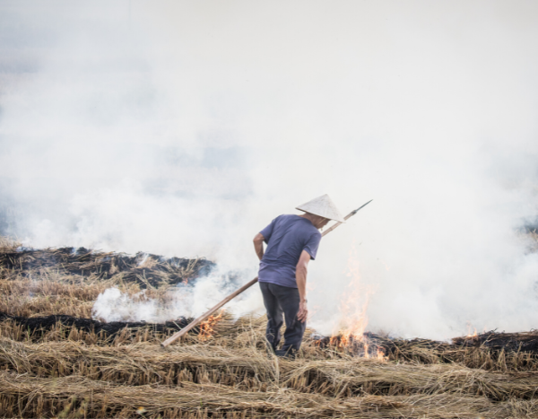 Budget for National Clean Air Programme raised to ₹756 cr, ‘No plan to tackle crop residue’