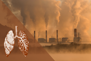 Study redefines air pollution’s link to cancer