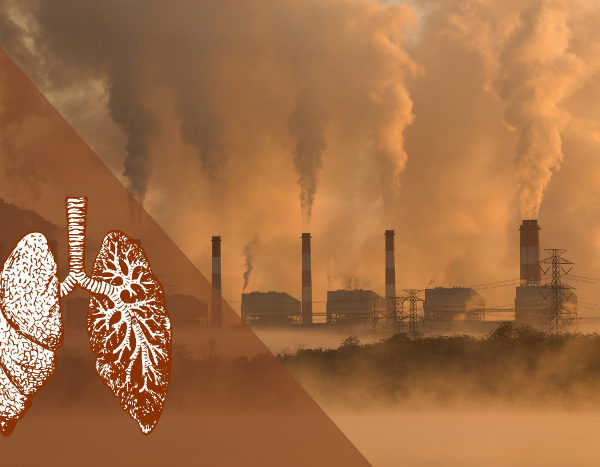 Study redefines air pollution’s link to cancer
