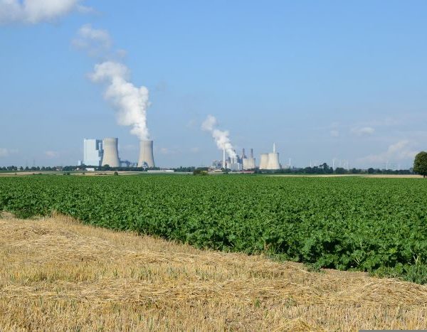 Study: Cutting NOx emissions by half leads to dramatic gains in crop yields