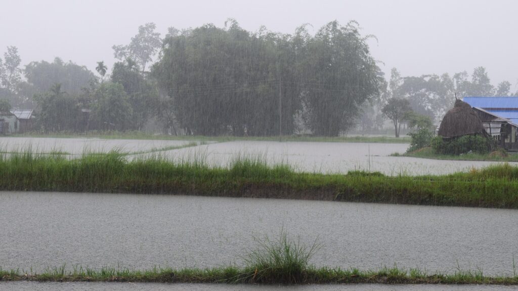 July rainfall worsened August floods in Punjab in 2023, says study