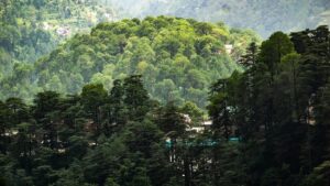 India to Set up New Authority to Curb Delays in Environmental Appraisals