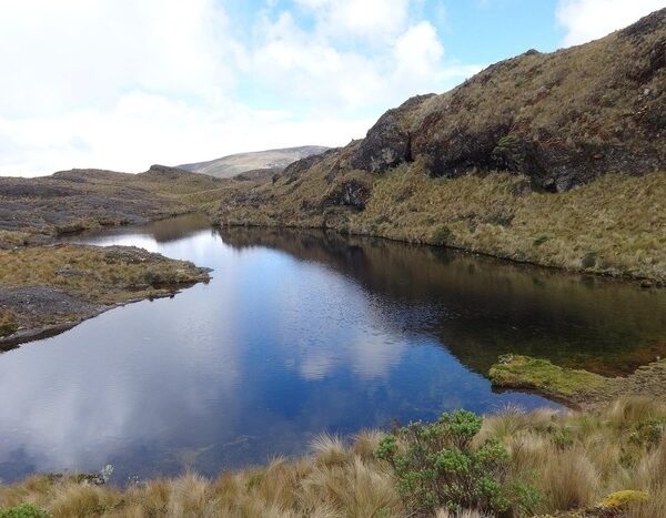 Only One-Third of River Basins in Normal Condition in 2024: Report 