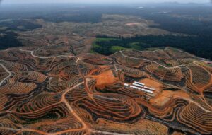 IPCC Special Report on land: Climate catastrophe unavoidable without effective land management, overhaul of food system