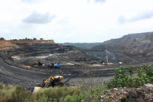 Changing rules, expanding mines, whose forest is it anyway?