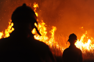 Several studies say climate change behind the wild fires ravaging California