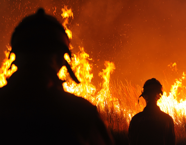Several studies say climate change behind the wild fires ravaging California