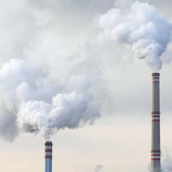 36 companies responsible for 50% of 2023’s fossil fuel emissions: Report