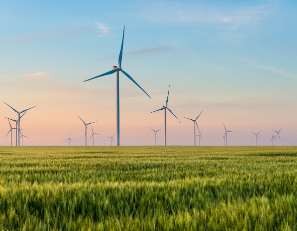 Karnataka HC says Centre’s directions on green energy open access not mandatory, strikes down rules