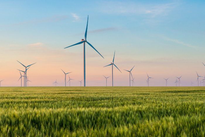 Karnataka HC says Centre’s directions on green energy open access not mandatory, strikes down rules