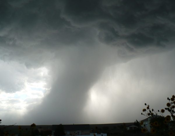 Deaths due to extreme weather events going up: Centre to House