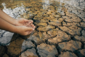 India’s June rainfall 11% below normal, fifth-lowest since 2020