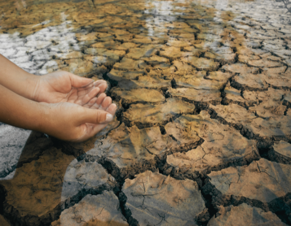 India’s June rainfall 11% below normal, fifth-lowest since 2020