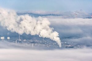 Carbon Pricing Key to Drive Decarbonisation in Internationally Traded Sectors: Report