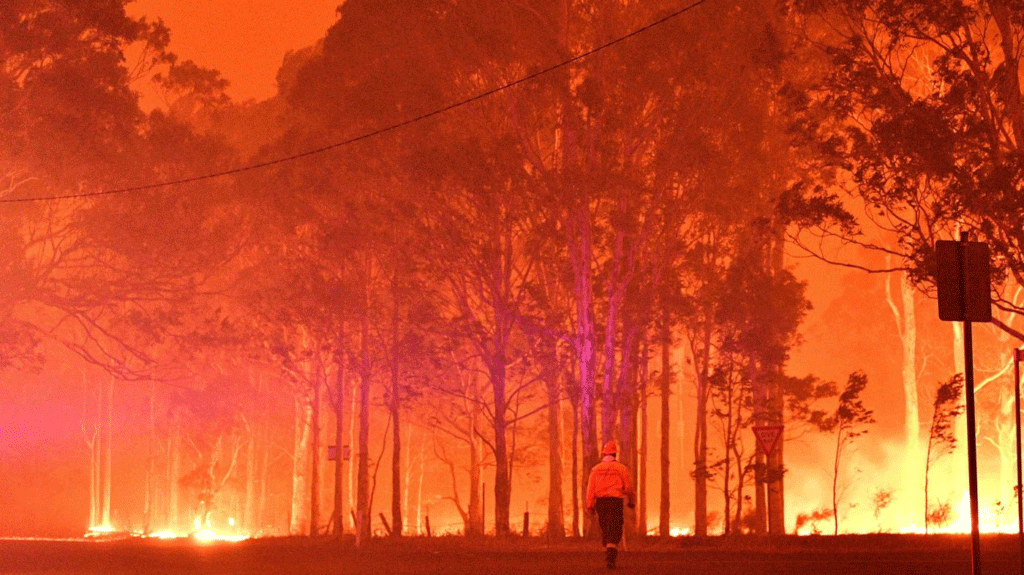 Climate crisis is top risk the world is facing: World Economic Forum report