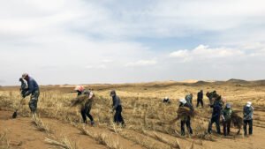 Explainer: ‘Desertification’ and how climate change is worsening it