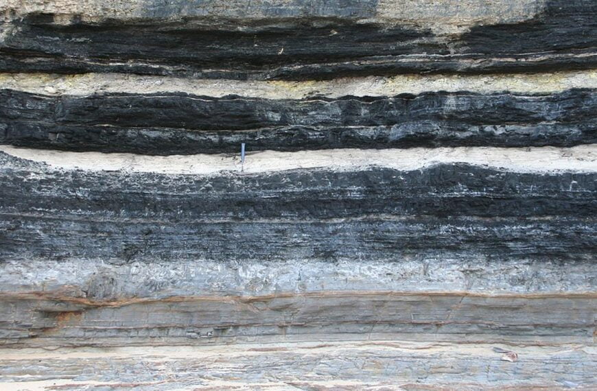 Big Story: Climate champion India ramps up funding for coal-bed methane