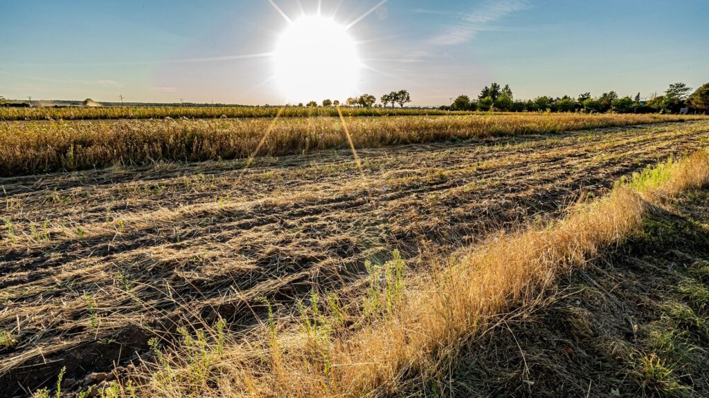 Heat wave hits parts of India, temp crosses 40°C, weather office warns of more heatwaves ahead 
